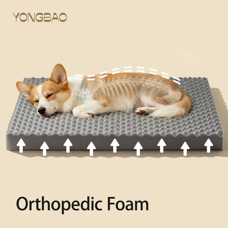 Factory Wholesale Luxury Cute  - огляд і ціна Tech Accessories Wholesale